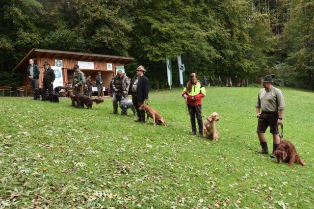 Hundepräsentation 2020